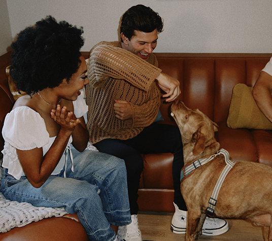 Two people playing with a dog